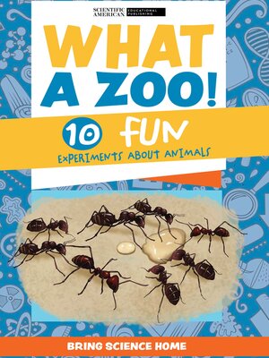 cover image of What a Zoo!